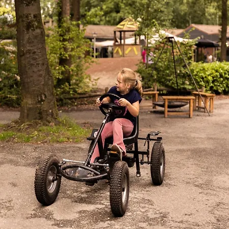 Adapted Bungalow, Near The Beautiful Veluwe Holiday home Putten